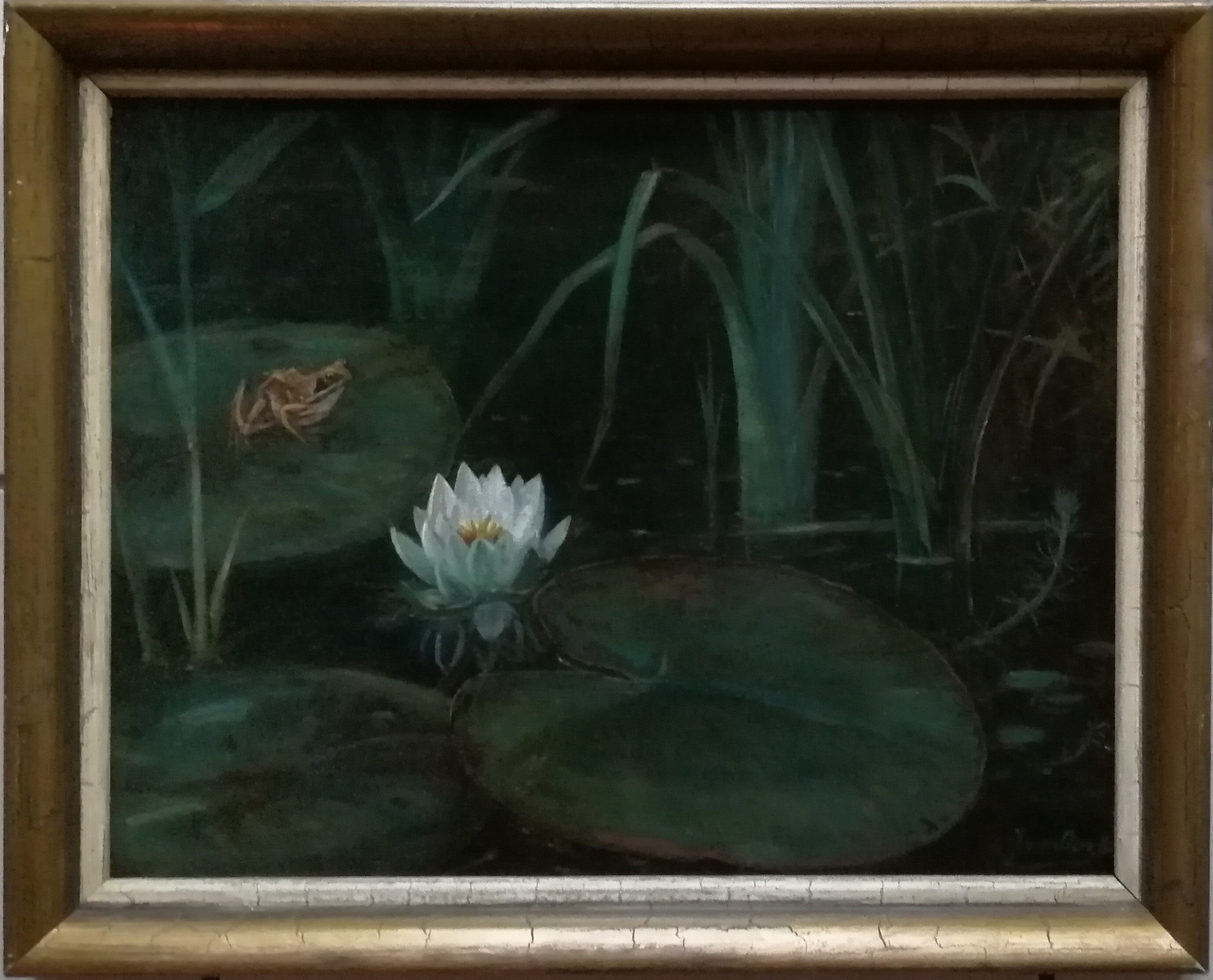 Jan van Oort - Kikker bij bloeiende waterlelie tussen het riet kopen? Bied vanaf 475!