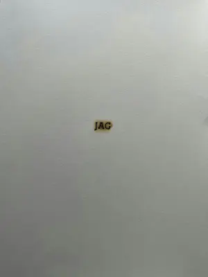 Jan van Munster - UITGAVE MET PYROGRAFIEËN. kopen? Bied vanaf 150!