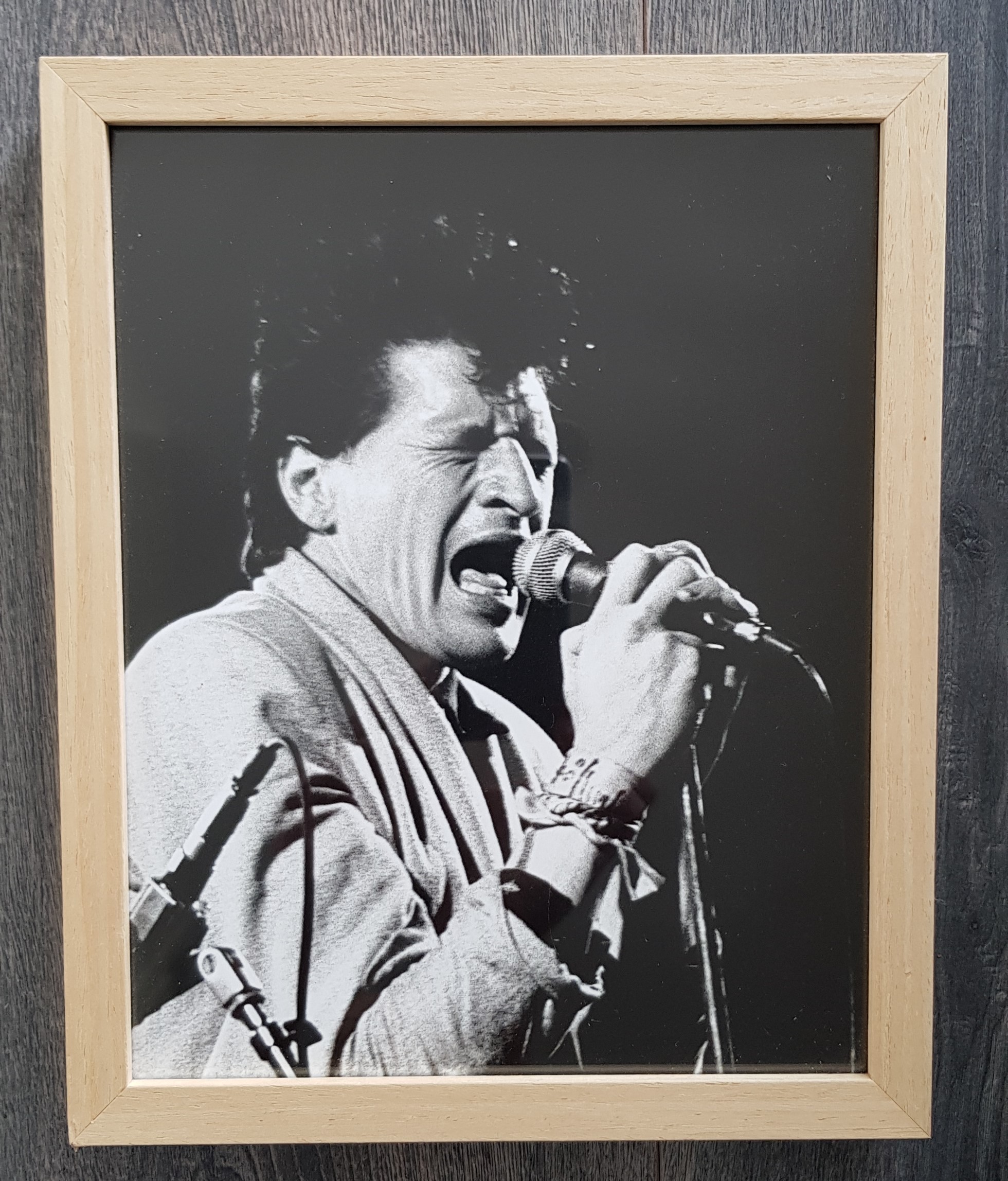 Herman Brood - prachtige grote foto verkocht voor € 35!