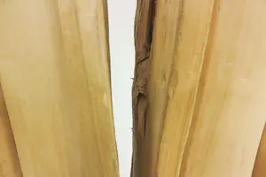 Niet of onleesbaar gesigneerd - Zeer groot houten scultpuur, Twee figuren kopen? Bied vanaf 1!