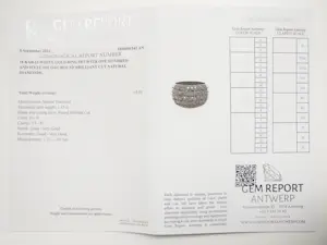 Diamanten ring kopen? Bied vanaf 2500!