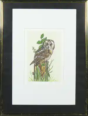 Erica Sijnja - Handgekleurde druk, Bosuiltje verkocht voor € 35!