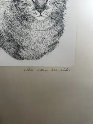 Ella van Schaik - Drie katten tekenen kopen? Bied vanaf 25!