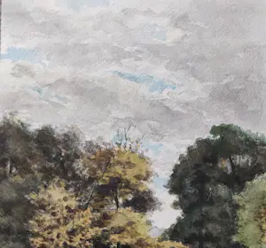Johannes van der Heijden - Hertenkamp in de Haarlemmer Hout kopen? Bied vanaf 30!