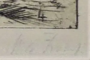 Willem de Zwart - Hakhout laden kopen? Bied vanaf 39!