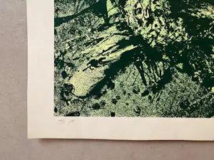 Fred Bervoets - Zonder titel kopen? Bied vanaf 250!