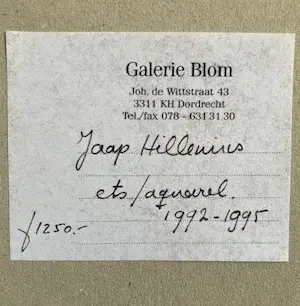 Jaap Hillenius - Mist X-1995 kopen? Bied vanaf 75!