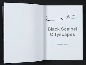 Damien Hirst - Gesigneerd boek - Black Scalpel Cityscapes kopen? Bied vanaf 1!