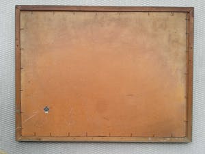 Leo Johannes van Gemert - Stilleven met cactussen en vetplanten. kopen? Bied vanaf 1!