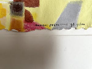 Anneke Peereboom - Zeefdruk, Luce del Giorno kopen? Bied vanaf 25!
