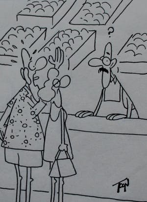 Toon van Driel - 2 Pentekeningen: Toon op vakantie - "Wat is er op het...?/Un blikos doperwtos" kopen? Bied vanaf 100!