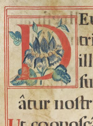 Curiosa - Deus misereatur, met de hand geschilderd op perkament kopen? Bied vanaf 60!