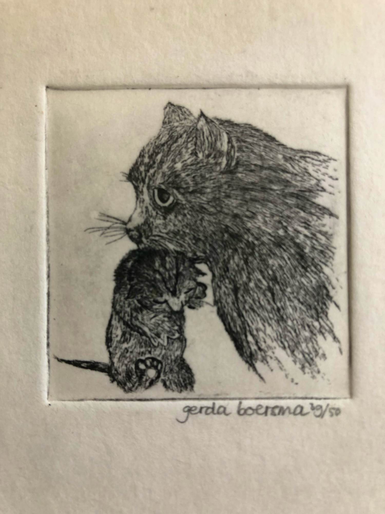 Gerda Boersma - Moeder poes met jong in haar bek kopen? Bied vanaf 25!