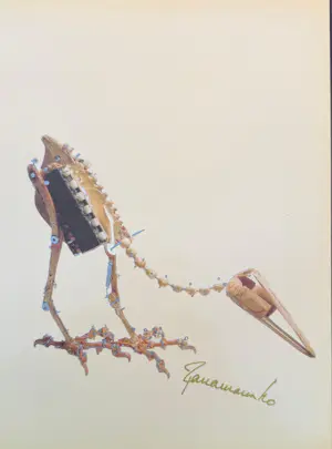 Panamarenko - Archaeopterix kopen? Bied vanaf 400!