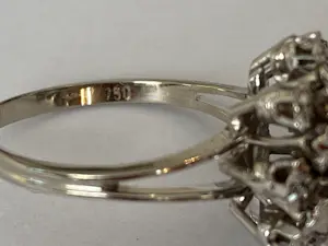Vintage 18 kt White Gold Rosette Cluster Diamonds ring kopen? Bied vanaf 550!