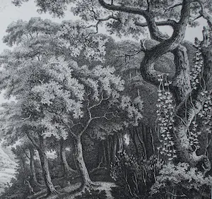 Jozef Linnig - Jacob van Ruisdael: Landschap met waterval - ets en droge naald kopen? Bied vanaf 150!