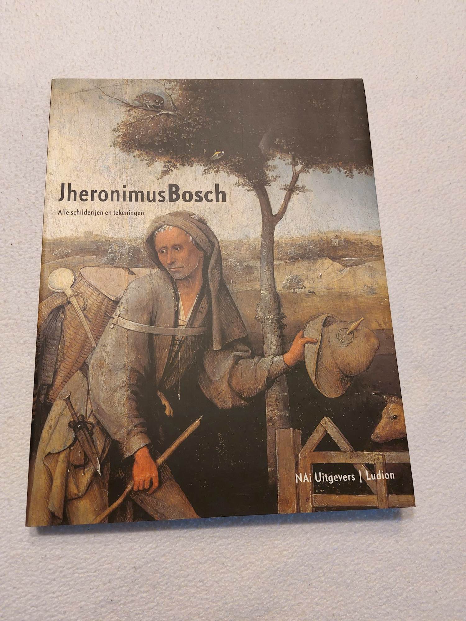 Jheronimus Bosch - Alle schilderijen en tekeningen kopen? Bied vanaf 20!