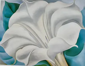 Georgia O’Keeffe - Set van drie prints,Klaproos,Trompetbloem en Bladeren Patroon kopen? Bied vanaf 30!