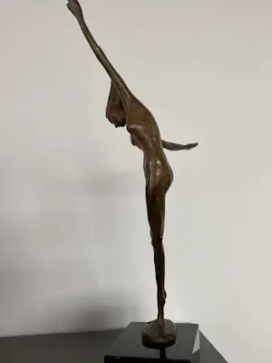 Corry Ammerlaan - Vreugdedans kopen? Bied vanaf 119!