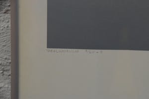 Dirk Huizer - Paalwoning, 2/25+3, 1982 - Zeefdruk op papier - BKR Rotterdam kopen? Bied vanaf 20!