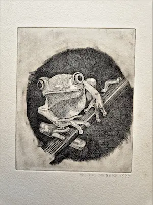 Hester de Beus - Leuke 1977 E.A. droge naald Ets "(gif)Kikker op tak" gesigneerd kopen? Bied vanaf 28!