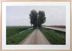 AcheterBob Negryn - Foto, Noord Holland I - Ingelijst? Enchérissez de 30!