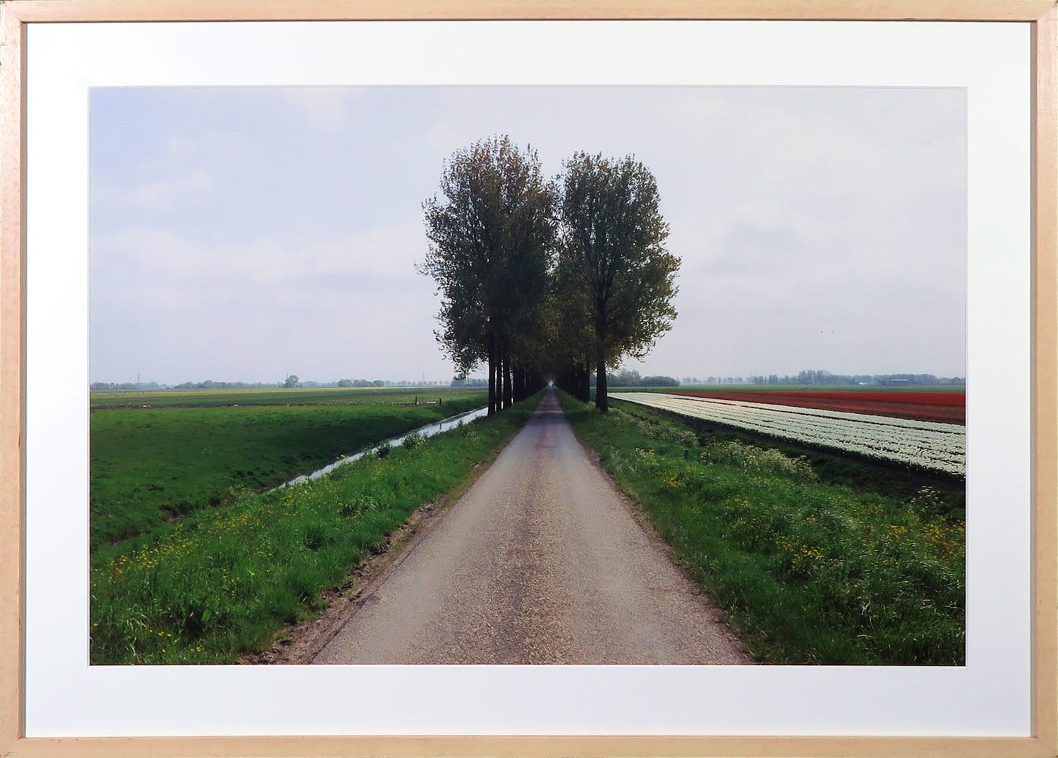 Bob Negryn - Foto, Noord Holland I - Ingelijst kopen? Bied vanaf 30!