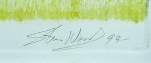 Steve Wood - Monoprint, Z.t. III, Ingelijst (Groot) kopen? Bied vanaf 20!