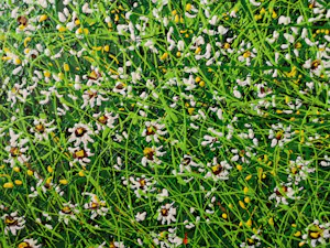 Giovanni Daurea - Floreale kopen? Bied vanaf 320!