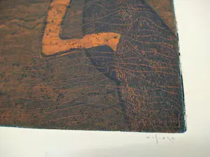 Mark Visione - Swim - kleuren ets - ingelijst kopen? Bied vanaf 65!