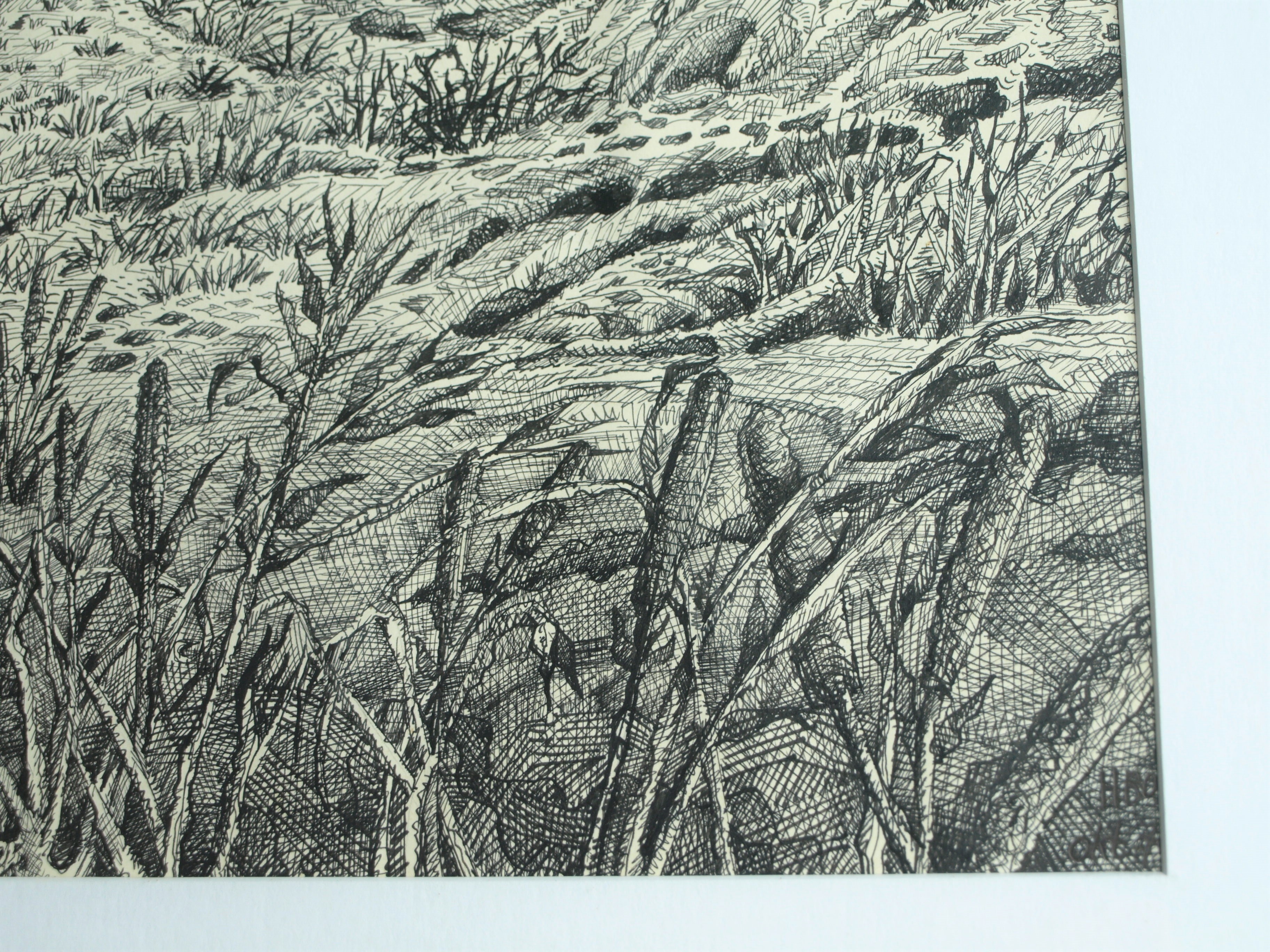 Hans Boon - Pentekening , Duinlandschap – gesigneerd & ingelijst – ca 1977  kopen? Bied vanaf 1!