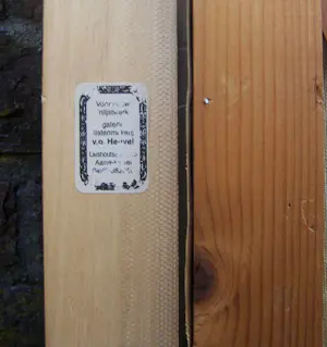 Jan Nolte - Gele Rozen kopen? Bied vanaf 100!