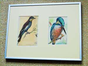 Willem De Pauw - Gemengde Techniek - Vogels verkocht voor € 35!