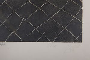 Wim Jonkman - Hindernis - 1982 - oplage 17/100 - Lithografie op papier kopen? Bied vanaf 20!