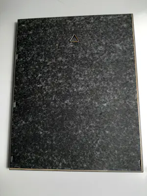 Jan Mankes - Originele Heliogravure, 2 Ganzen kopen? Bied vanaf 120!