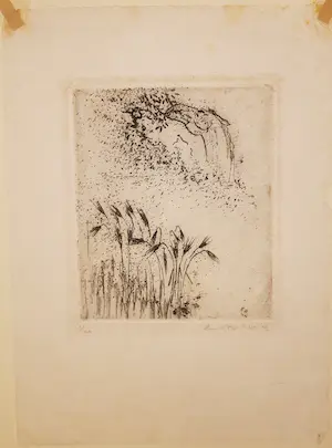 Enno Brokke - Paard met riet kopen? Bied vanaf 35!