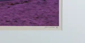 Jean Ruiter - Foto - Stokkenspel in paars II - Ingelijst kopen? Bied vanaf 50!