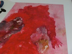 Armando - Rotes Gewand (Rood gewaad), Giclee op katoenpapier. Sublieme kleuren! kopen? Bied vanaf 100!