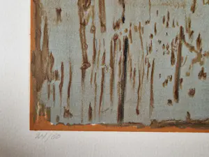 Jean Oosterlynck - Grote 1976 - Epreuve d'Artiste kleurenlitho "oiseaux" met persoonl. opdracht kopen? Bied vanaf 67!