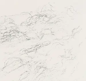 Willem den Ouden - Onstuimig weer op het platteland kopen? Bied vanaf 50!