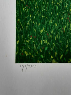 Dolf Zwerver - jongeman op fiets kopen? Bied vanaf 100!