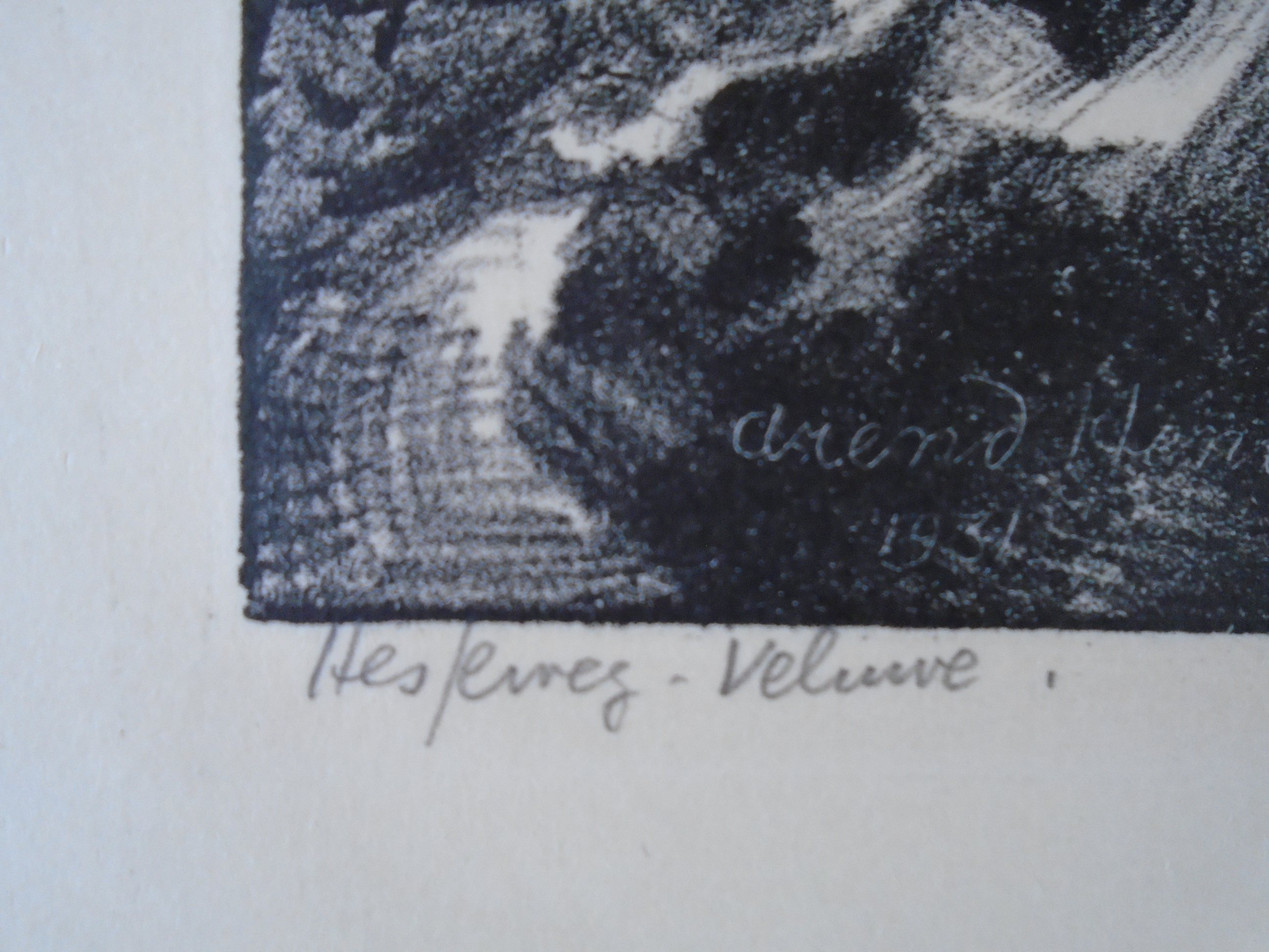 Arend Hendriks - Hesseweg Veluwe kopen? Bied vanaf 45!