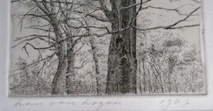 Han van Hagen - Bomen in landschap kopen? Bied vanaf 10!