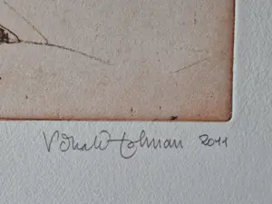 Ronald Tolman - in zeer kleine oplage (20) gemaakte handgekleurde Ets en aquatint - gesigneerd kopen? Bied vanaf 48!