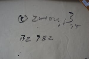 Zhou Brothers - Materie + olieverf - Dark Night - 1995 kopen? Bied vanaf 750!