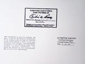 Andre De Dienes - Marilyn Monroe, 1949 - Auflage von 50 - drucksigniert kopen? Bied vanaf 500!