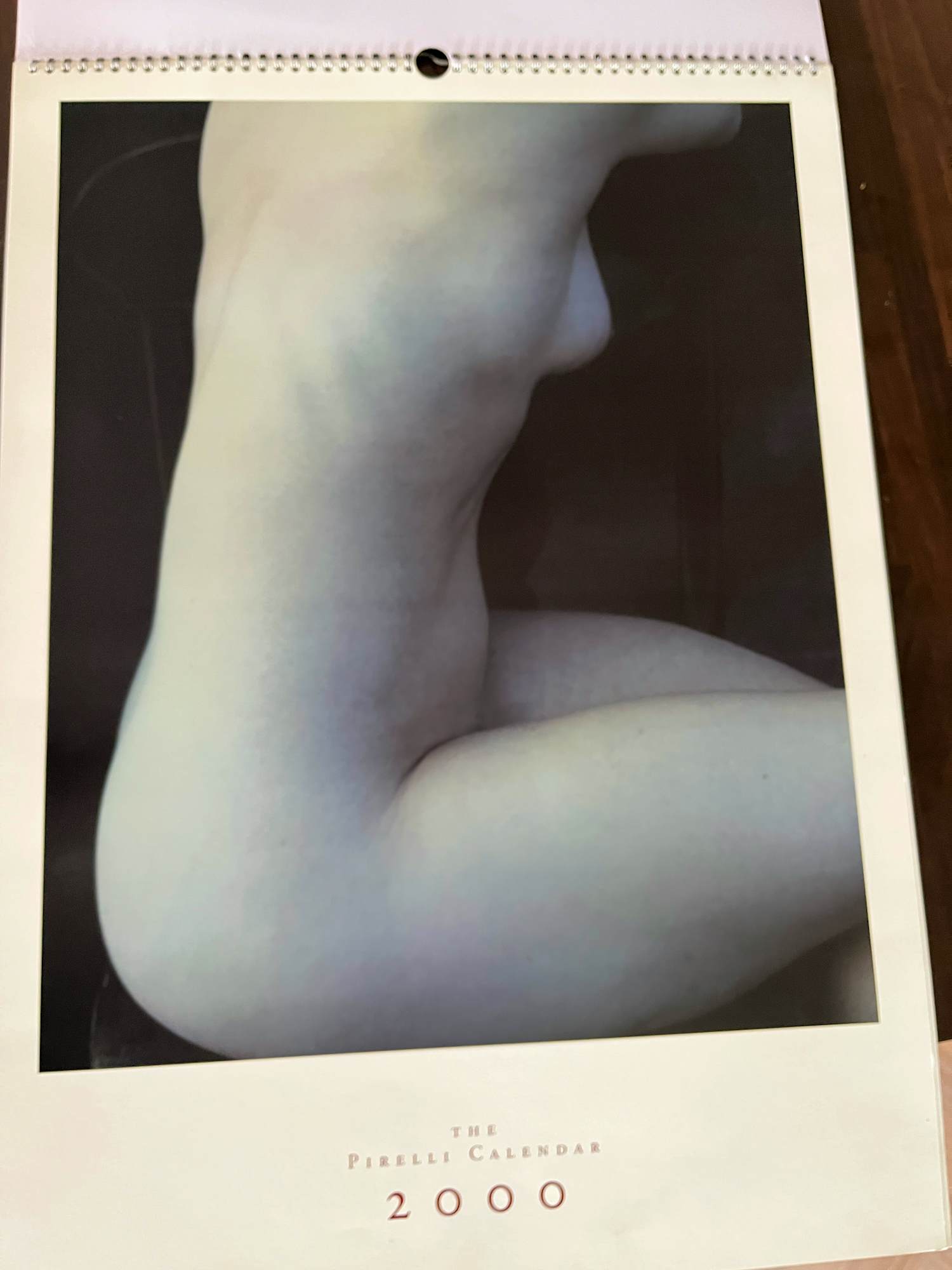 Annie Leibovitz - Pirelli kalender 2000 kopen? Bied vanaf 20!