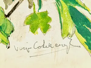 Virginie Cokelberghe - Twee aquarellen. Boeketten bloemen. kopen? Bied vanaf 99!