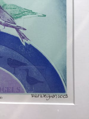 Ries Kleijnen - Ets aquatint, Een huis vol vogels, gesigneerd en ingelijst kopen? Bied vanaf 85!