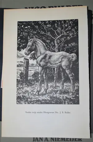 AcheterNico Bulder - houtgravure Veulen & 3 boekwerken? Enchérissez de 45!